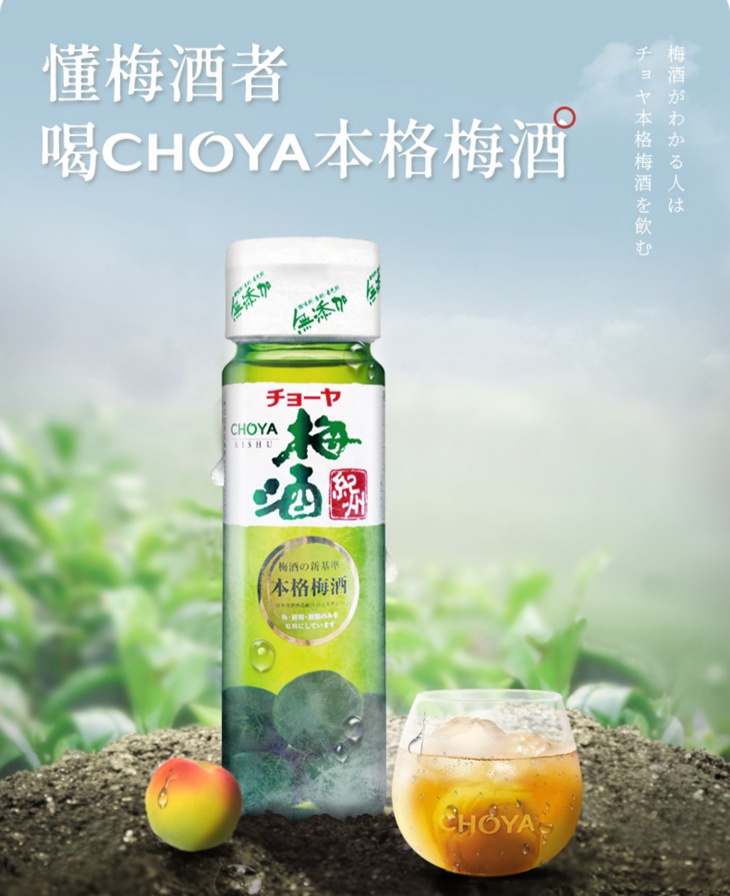 俏雅梅酒